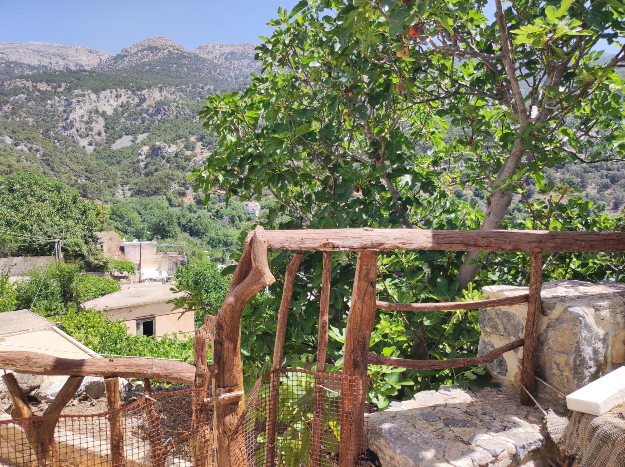 Kato Simi Kato Symi Houseヴィラ エクステリア 写真